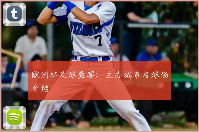 欧洲杯足球盛宴:主办城市与球场介绍