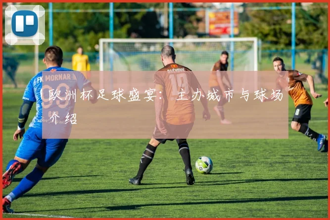 欧洲杯足球盛宴：主办城市与球场介绍