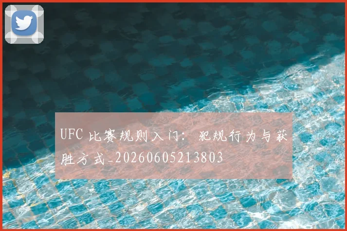 UFC 比赛规则入门:犯规行为与获胜方式_20260605213803