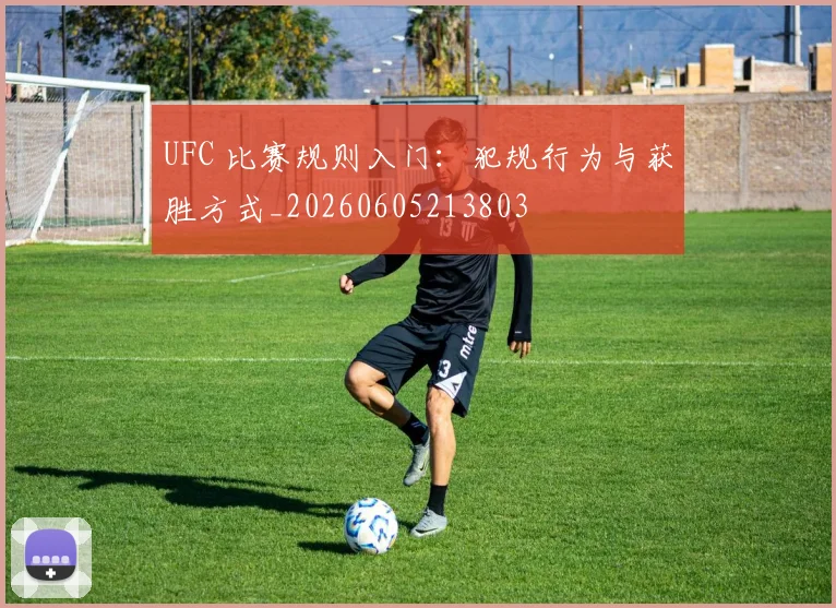 UFC 比赛规则入门:犯规行为与获胜方式_20260605213803
